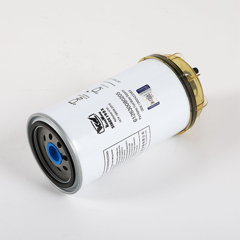 612630080205 Camions Filtre à carburant pour camions pour la compatibilité avec les pièces du moteur