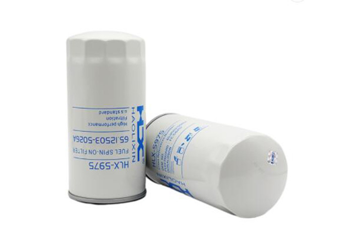 Filtre à essence de camion d'ODM d'OEM pour le matériel de noyau d'Engine Parts Paper d'excavatrice