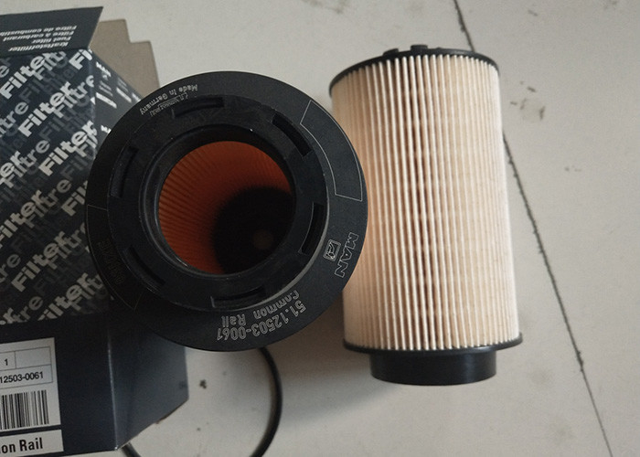Filtre à essence industriel diesel 51.12503-0061 pour le camion de MANN 18280